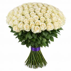 Розы Эквадор белые